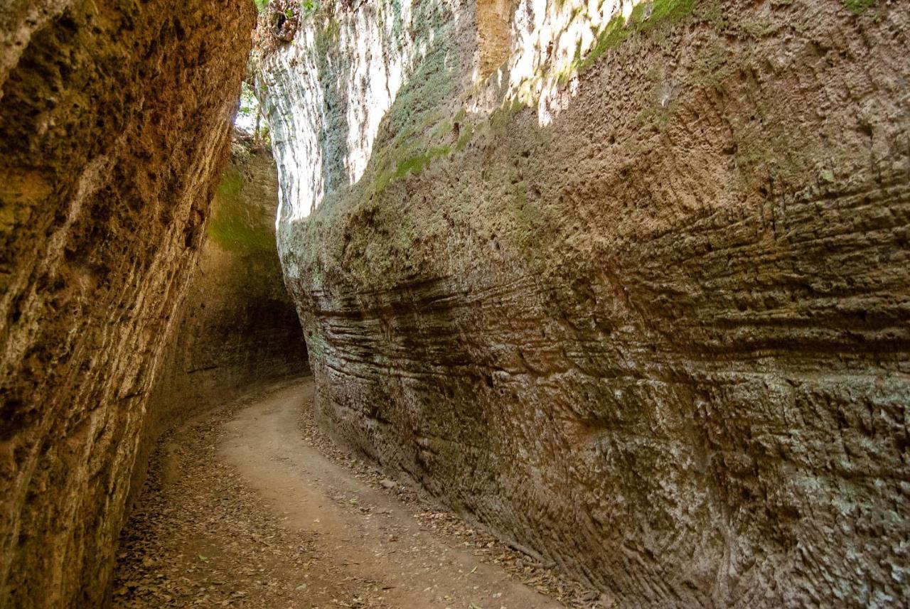 La Toscana In Casa Βίλα Sorano  Εξωτερικό φωτογραφία
